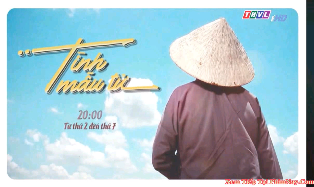 Tình Mẫu Tử Tình Mẫu Tử