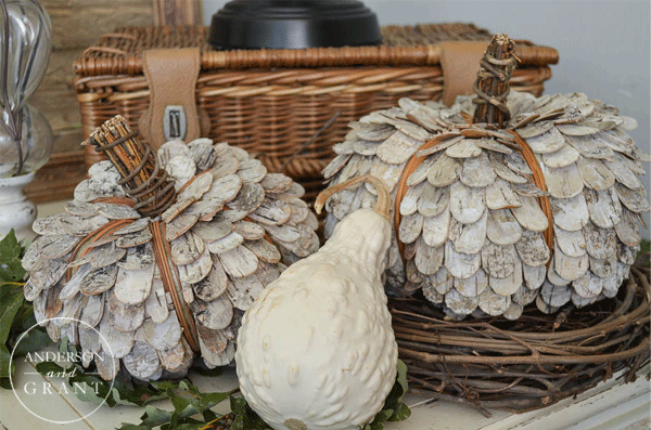 Create a rustic fall display with these birch bark pumpkins, some leaves, and gourds.  See more at www.andersonandgrant.com