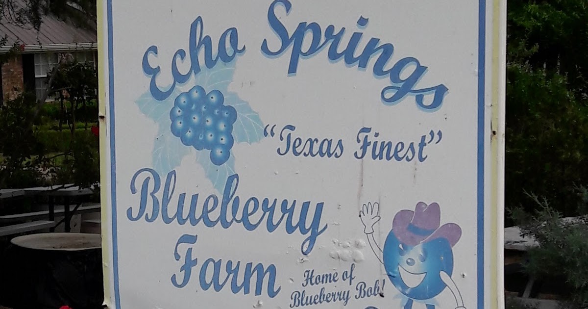 Echo Springs Blueberry Farm