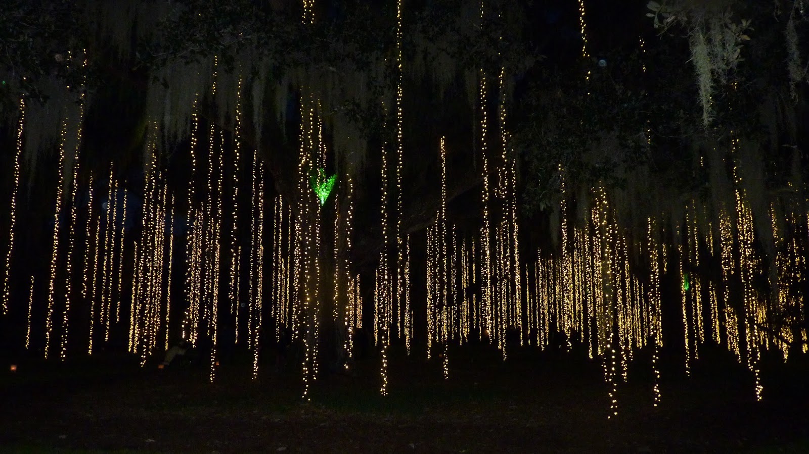 Night of A Thousand Candles