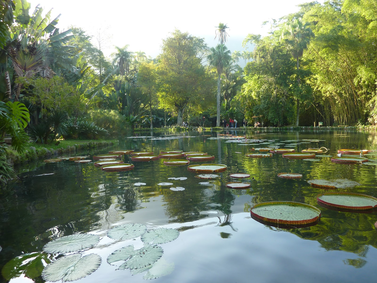 Check-in: Rio de Janeiro: Jardim Botânico