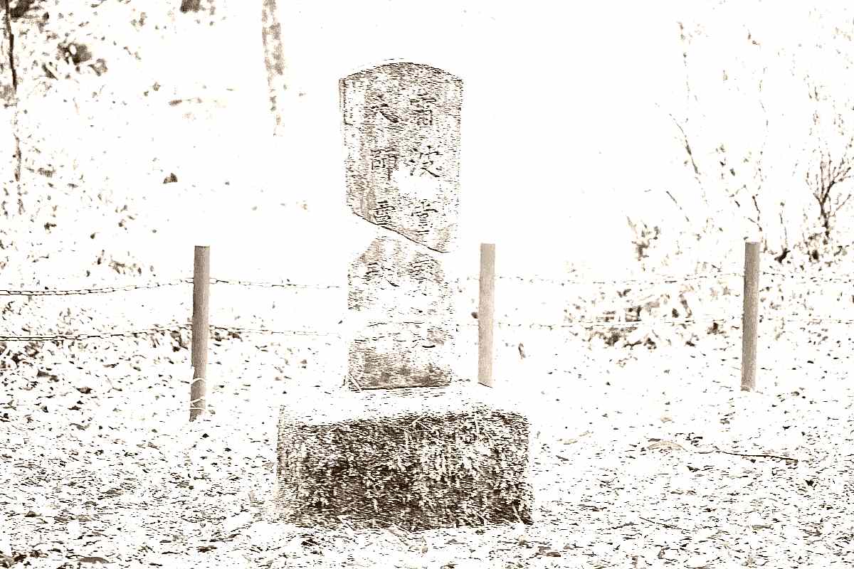 원주 구룡사 원주 구룡사