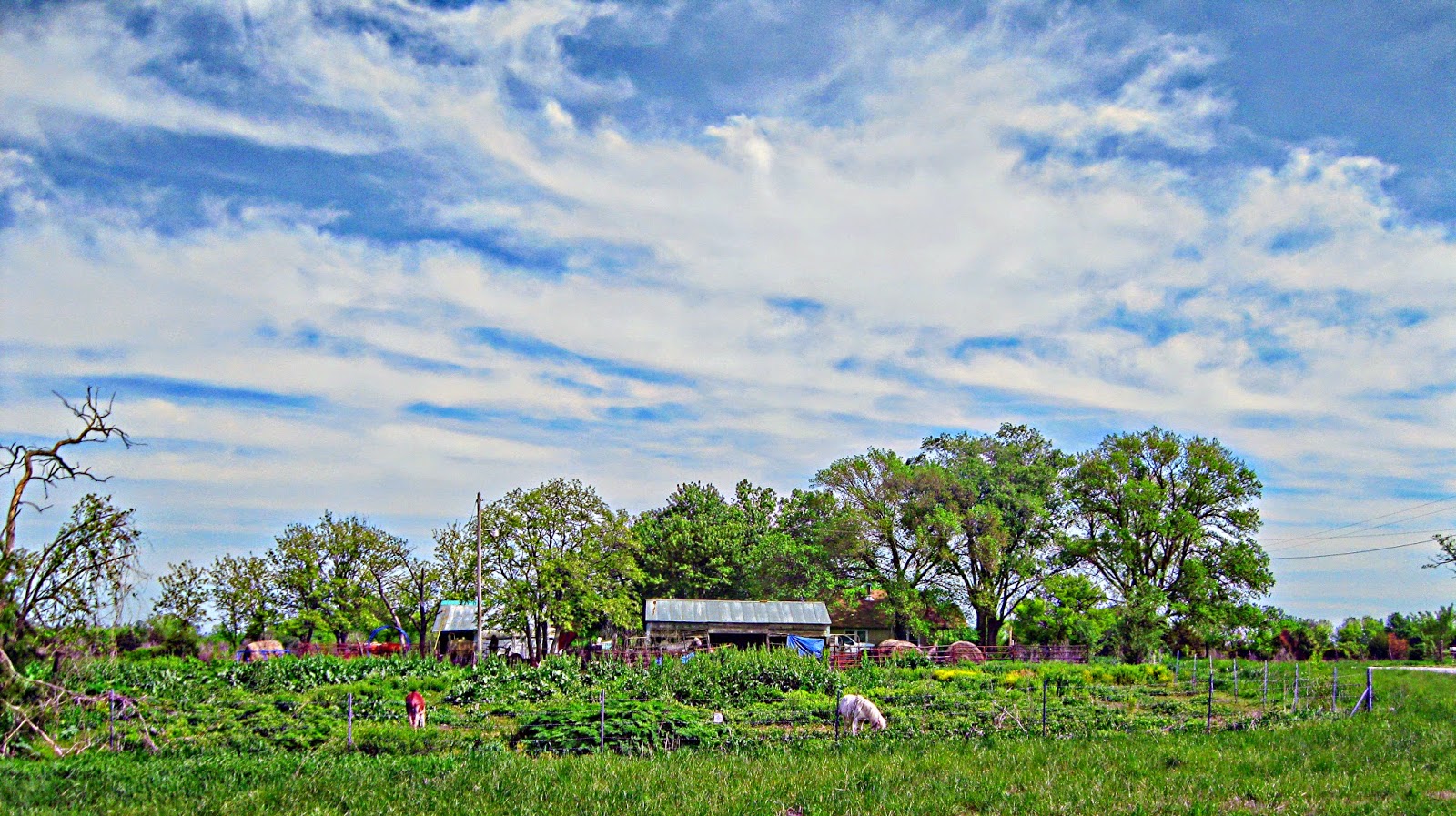 over hill n dale Dodge City, KS to Pueblo West, CO