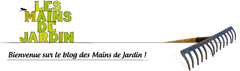 Les Mains de Jardin, le blog