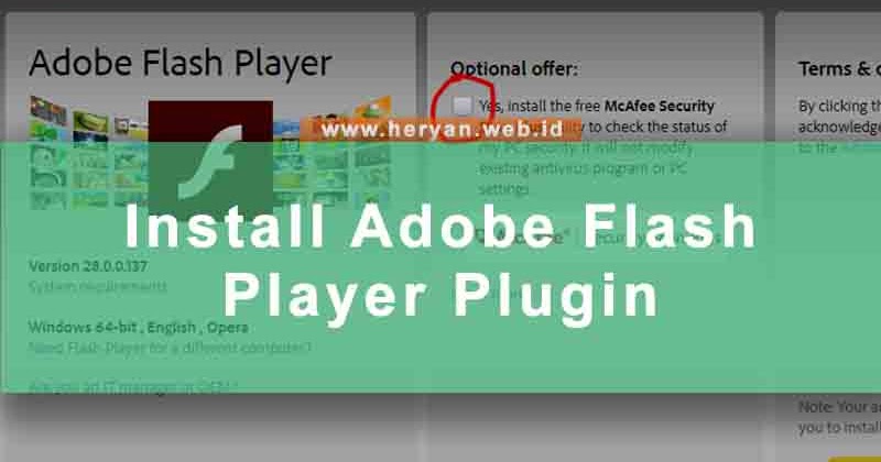 adobe flash player plugin not working