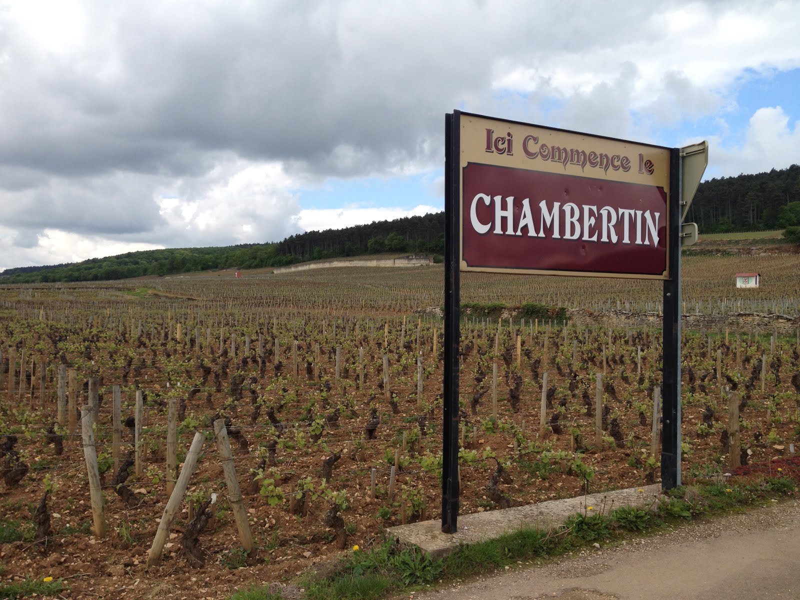 Bourgogne Wine Guide Gevrey Chambrtin