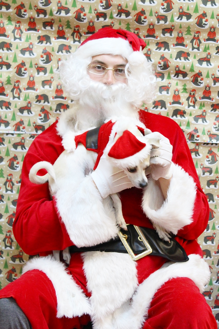 HAPPYHAZEL Santa Happy meets Santa Claus at PetSmart! gatheraround