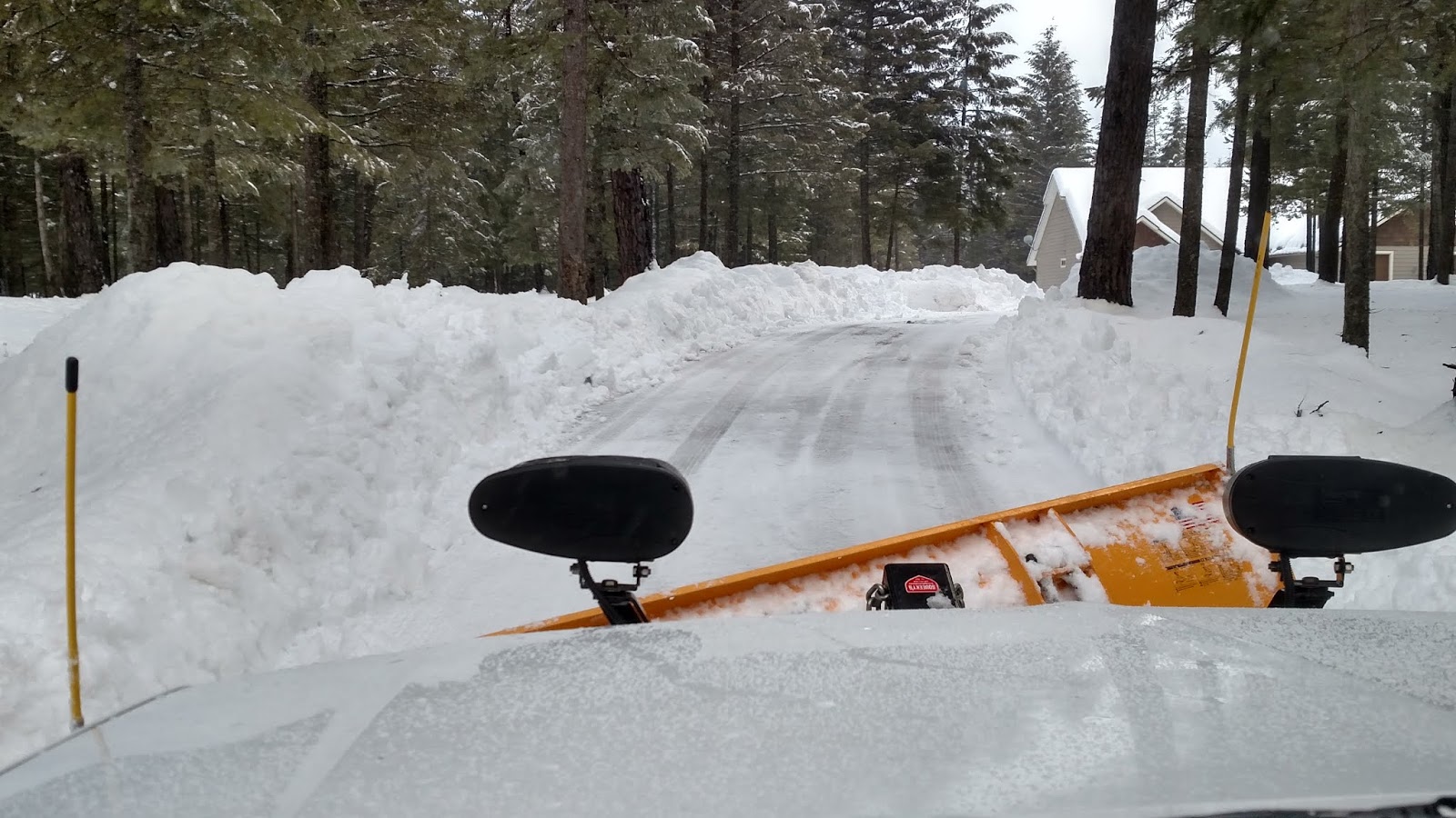 Spud S Blog The Winter Blues