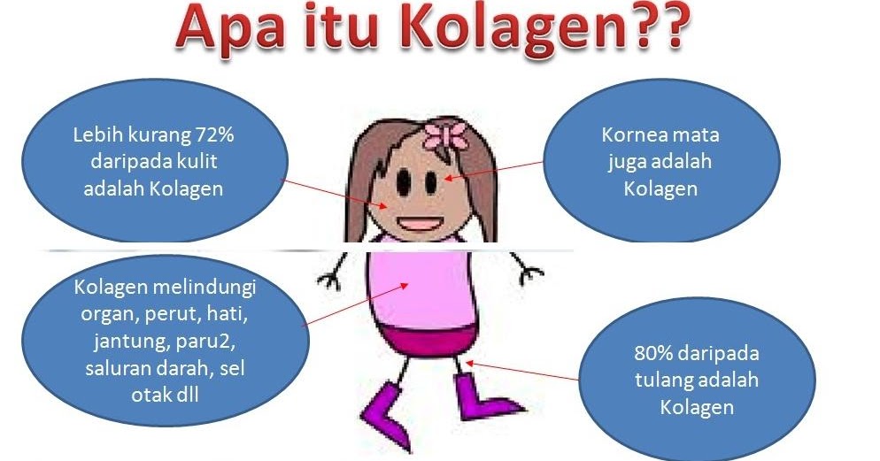 Apa Itu Protein Fungsional : APA ITU DISPEPSIA FUNGSIONAL &amp; PENYEBABNYA