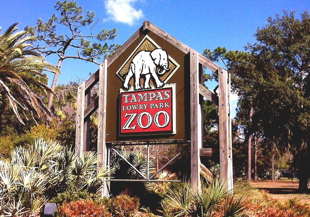 Lowry Park Zoo Best Zoo In Florida