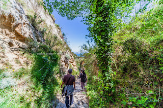 San Pancrazio Ischia, Piano Liguori, trekking Ischia, Percorsi Ischia, Ischia natura selvaggia, Colori mediterranei di Ischia, vegetazione tipica mediterranea, 