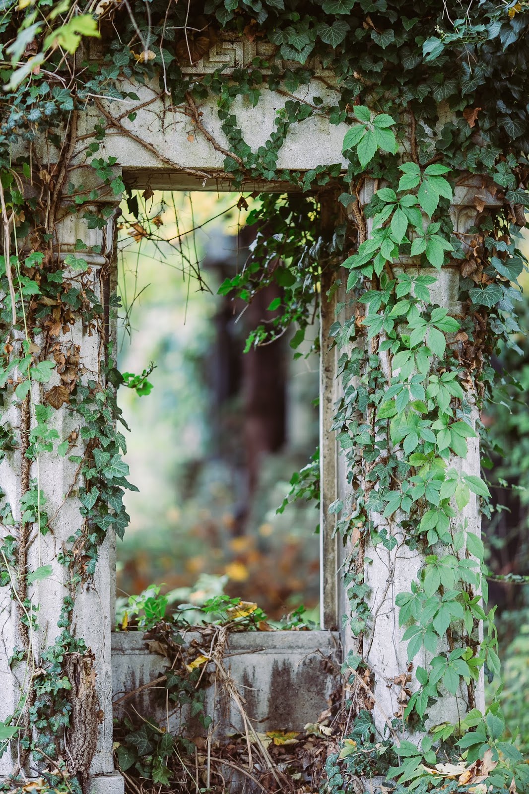 Es Lebe Der Zentralfriedhof Pomponetti