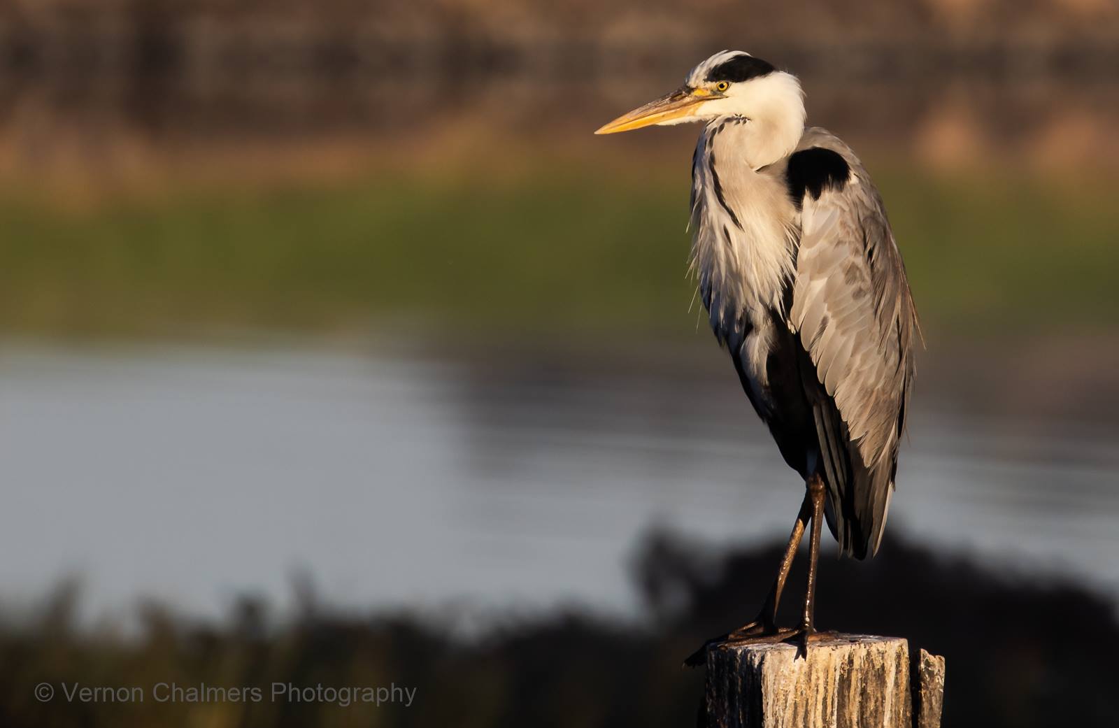 Vernon Chalmers Photography Training Canon EOS R Field Testing
