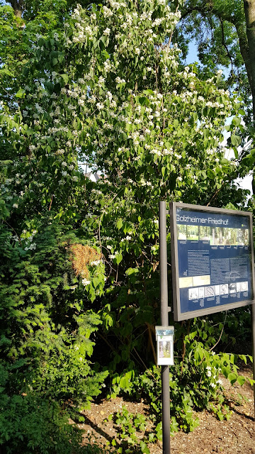 Düsseldorf. Гольцхаймське кладовище.