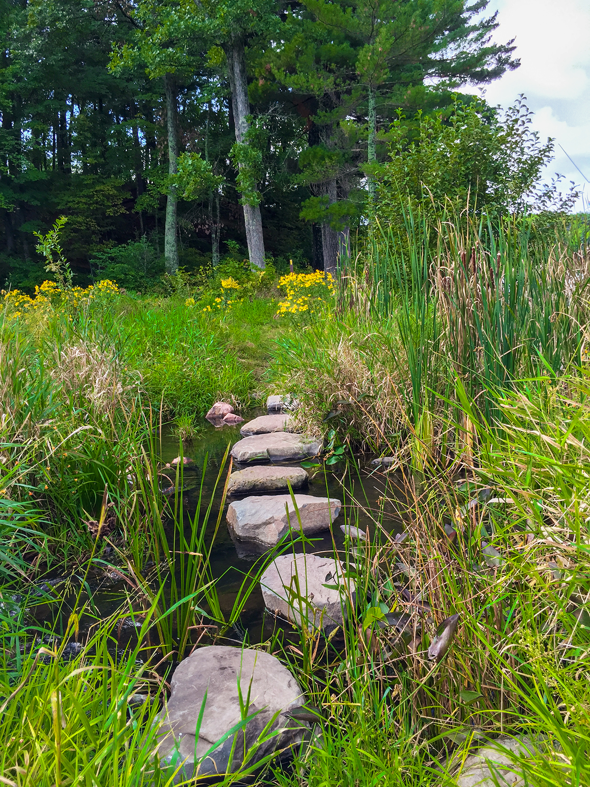 On the Ice Age Trail Straight Lake Segment