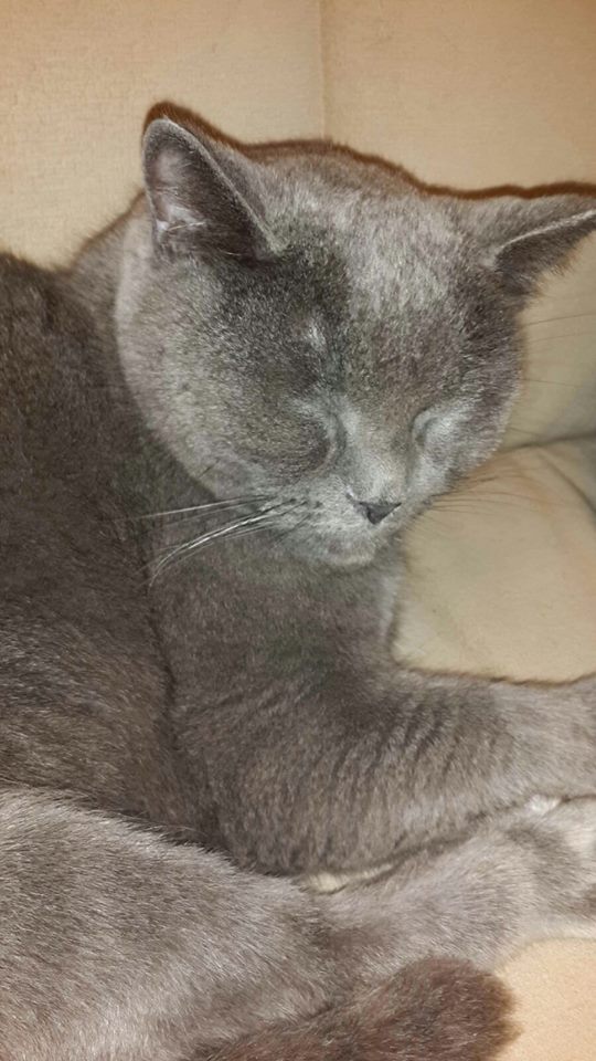 Heidelberg City Guide Franz Soupmarine Unter Freunden Nicest