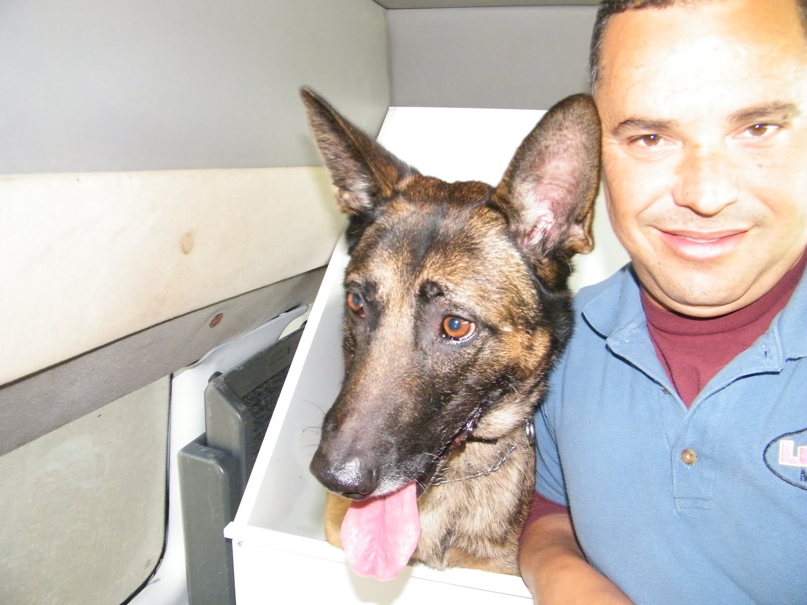 Mobile Dog Grooming Mobile Pet GrOOminG miami ! Let us pamper your