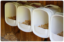 chicken coop barn