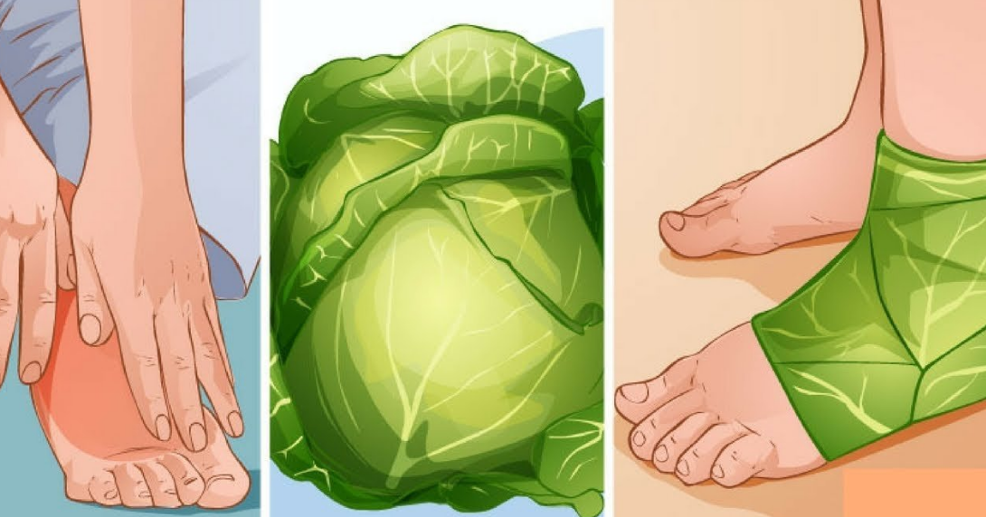 Just Wrap Your Feet with Cabbage Leaves Before You Rest "You Will