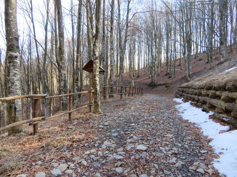 Escursionismo a 360° Da Crespino sul Lamone al passo della Colla (E)
