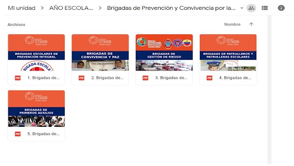 Orientación N° 13 del Año Escolar 2018-2019, Conformación y Organización de las Brigadas de Prevención y Convivencia por la Paz Orientación N° 13 del Año Escolar 2018-2019, Conformación y Organización de las Brigadas de Prevención y Convivencia por la Paz