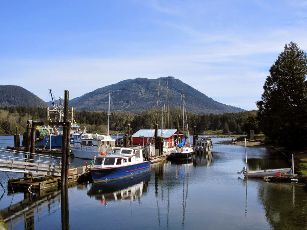 Scott's Eastside Blog Body Boarding at Long Beach and The Harbor