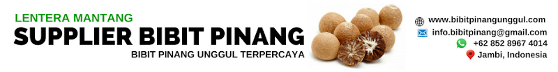 ANALISA PANEN PINANG DALAM 1 HEKTAR, PINANG KERING DAN PINANG BASAH
