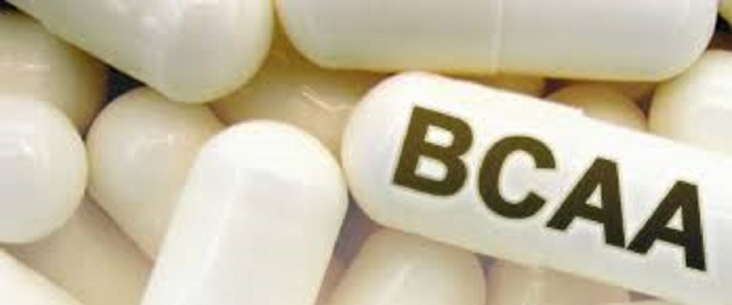 Para que Serve o BCAA e Como Tomar? Aula Fitness