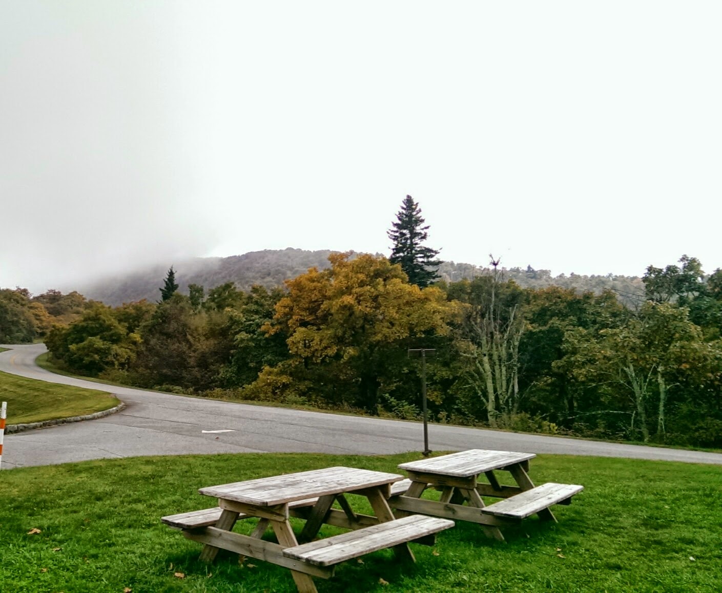 Mt. Pisgah Campground, NC Flyin' the Coop
