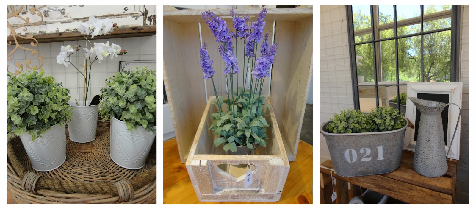 The Ruby Orchard A trip to Durban to stock up!