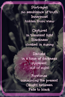 Lost in the dark, on the edge of hopelessness... she shines forth brilliantly... Quote. Poetry. #mentalhealth #mentalillness. #grief.