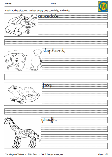 1st Grade Primary Unit 5 The Sore Paw English Language
