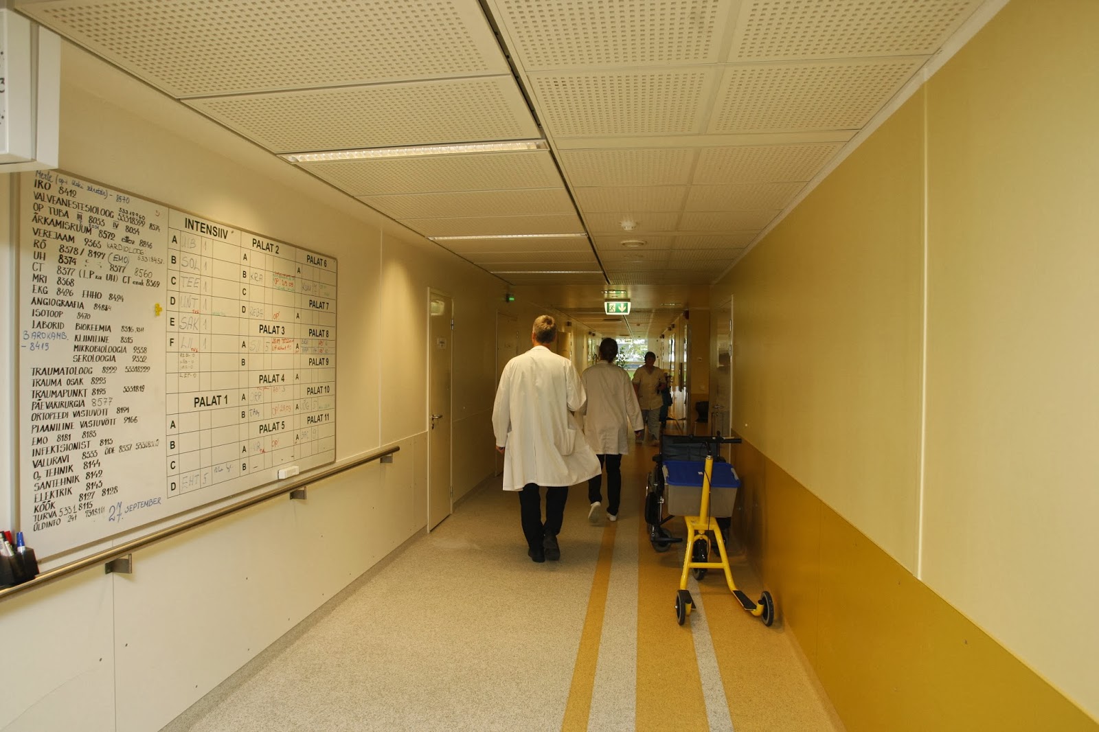 Pulleritsu/Scanpixi spordiblogi: Dr Leho Rips: Väärt nõu sporditraumade ...