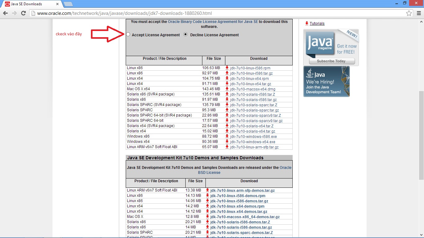 jdk pour netbeans 6.9.1 gratuit