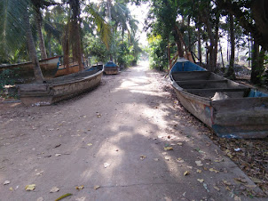 View of Sand dredging boats parked in Hubert Gonsalves farmhouse at Mabukala village.