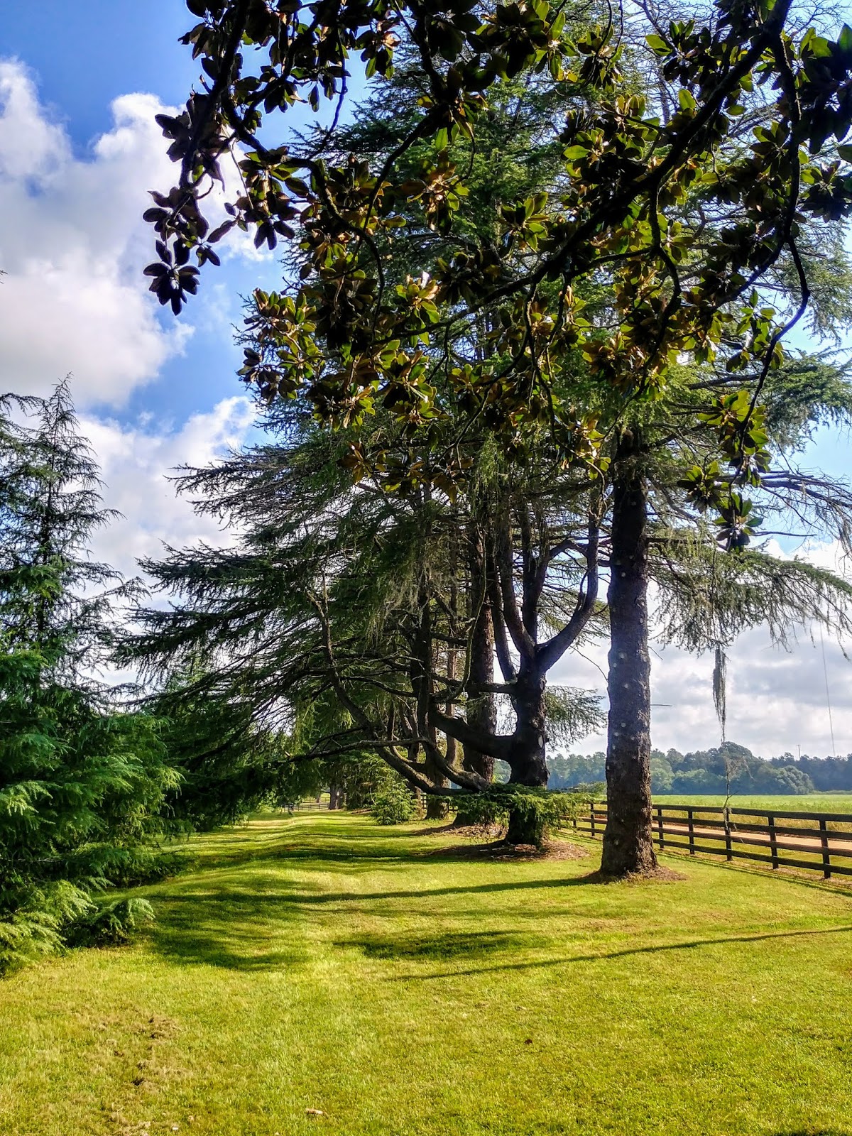 Another mile : Redcliffe Plantation, Beech Island, South Carolina