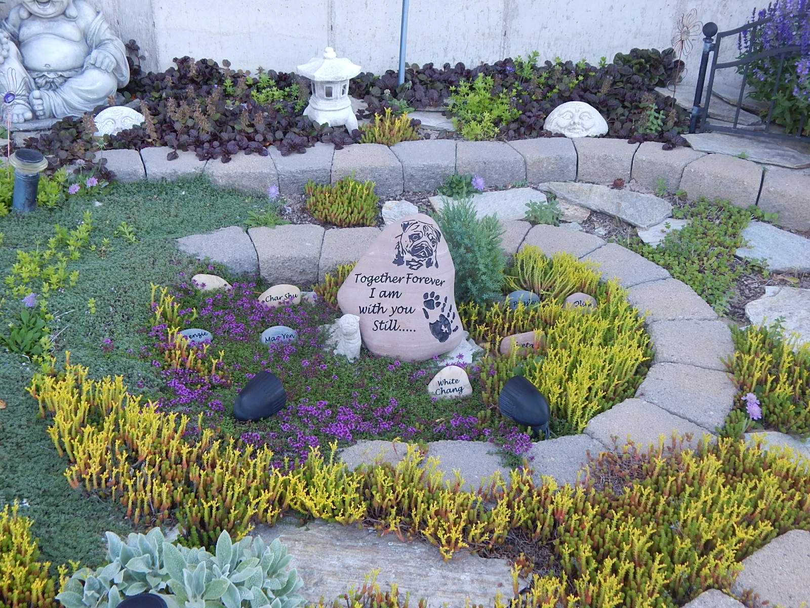 Idaho PugRanch Flower Friday in our Memorial Garden