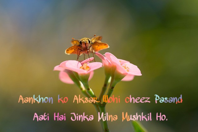 Sad life status in Hindi Sad life status in Hindi