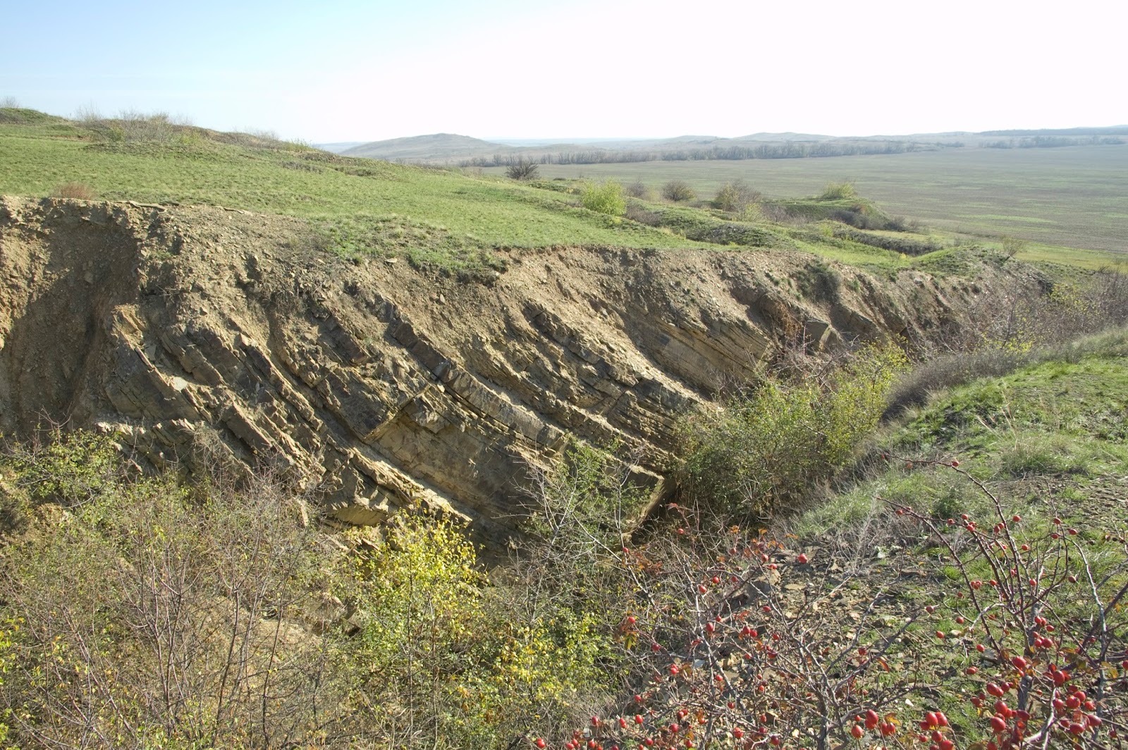 Проект освоения месторождения железный кряж