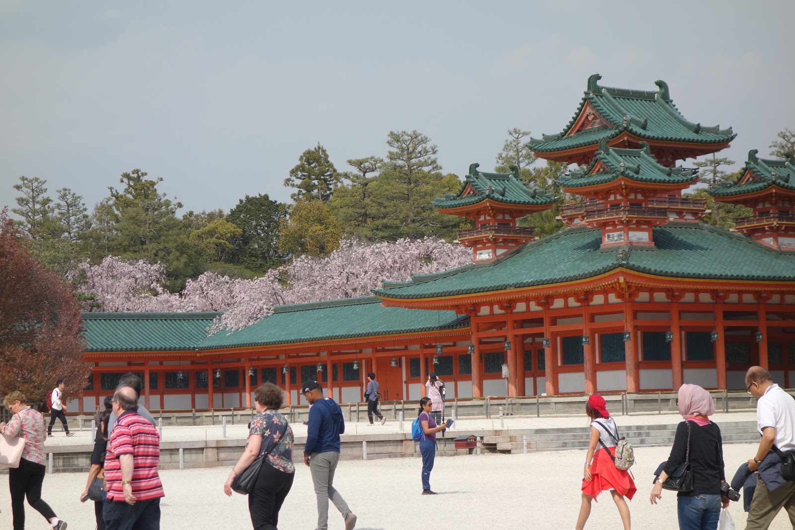 老媽的四處趴趴走 京都櫻花散策 三 哲學之道 南禪寺 蹴上傾斜鐵道 平安神宮
