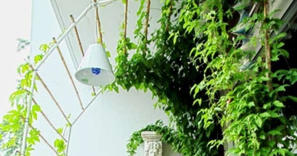 Narrow House Garden Design With A Minimalist Style