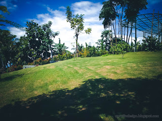 Tropical Uphill Garden landscape in the warmth sunshine On A Sunny Day