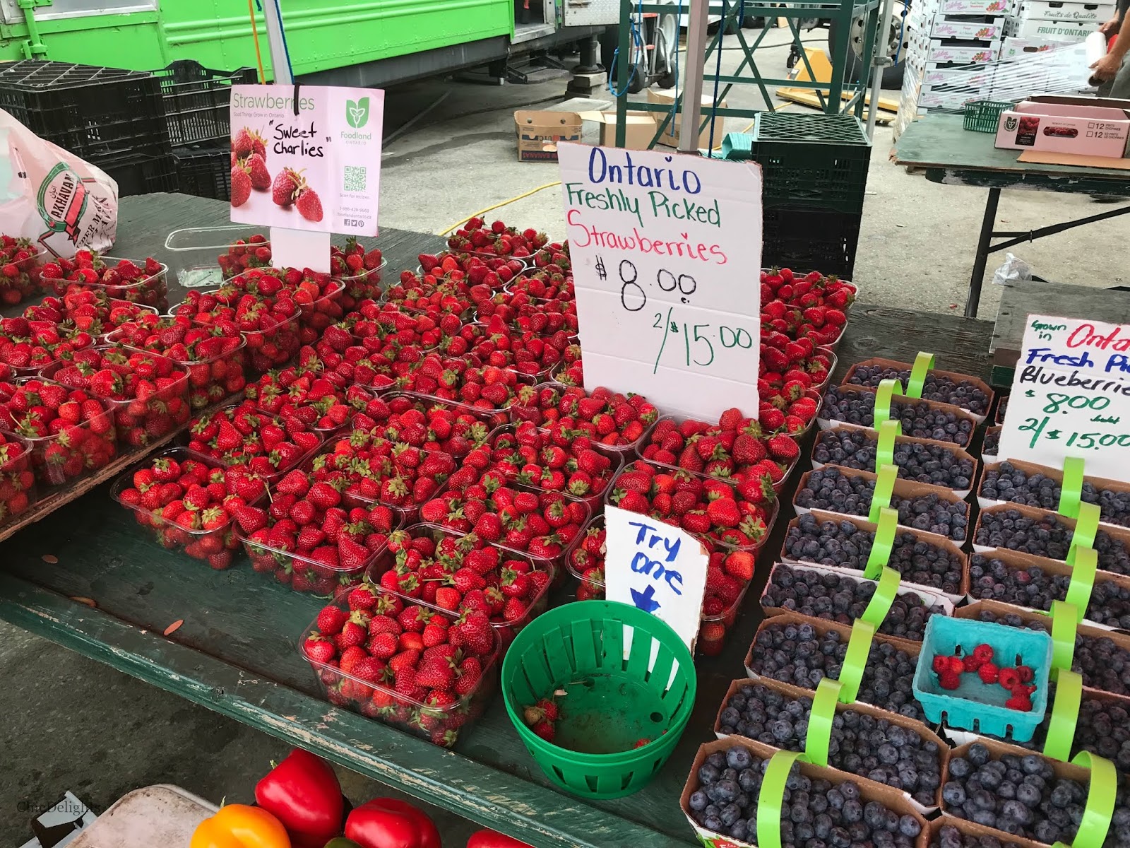 Summer Market At St. Jacobs Farmers' Market - Chic Delights