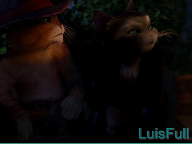 LuisFull-1.jpg