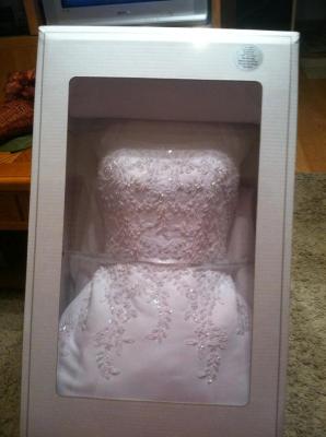 david's bridal dress preservation kit