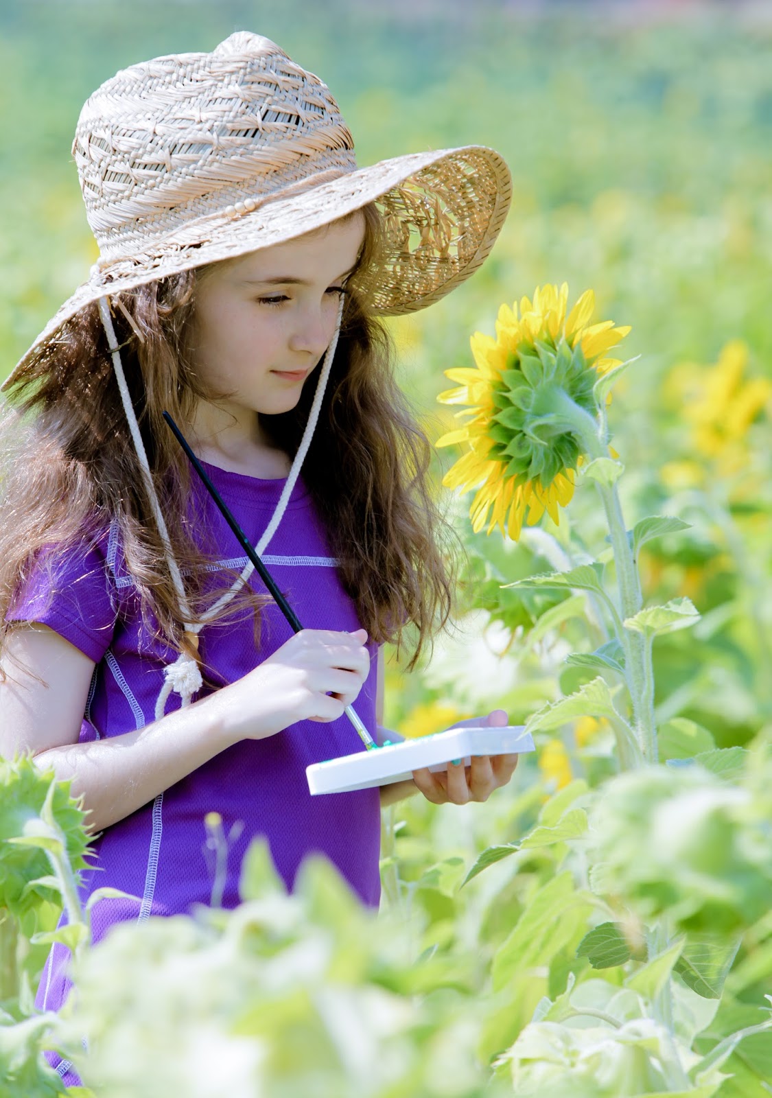 My Melbourne Experience, and beyond Sunflower Field, On a Beautiful