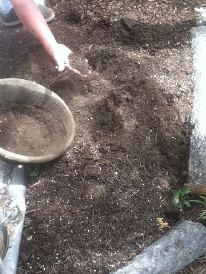 Colorado Mountain Gardener Photos of bearproof compost systems