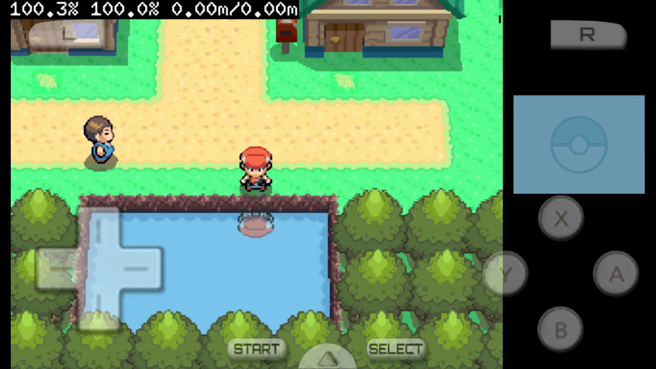 giochi nds da scaricare