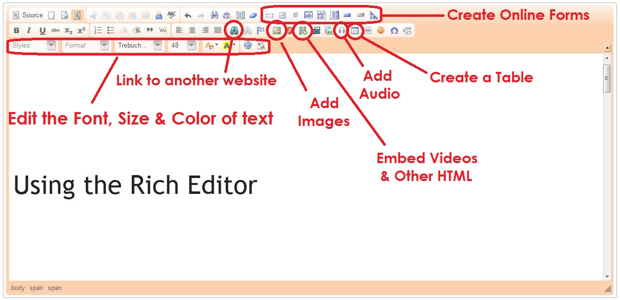 Use the Rich Editor to Customize your Website