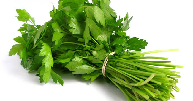 Descubre las propiedades digestivas del cilantro Flores de Venezuela Descubre las propiedades digestivas del cilantro Flores de Venezuela